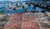 Doanh nghiệp chế biến thủy sản xuất khẩu Cà Mau tồn kho gần 150 triệu USD hàng hóa