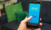 Hơn 500.000 tài khoản Zoom bị lộ thông tin
