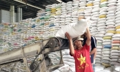 Bộ Công Thương hỏa tốc đề nghị Bộ Tài chính công khai danh sách thương nhân đã đăng ký xuất khẩu gạo
