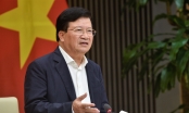 Phó Thủ tướng Trịnh Đình Dũng: Yêu cầu rà soát quy trình, thủ tục mở tờ khai xuất khẩu gạo