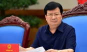 Phó Thủ tướng yêu cầu Bộ Tài chính rà soát, xử lý doanh nghiệp 'xí phần' xuất khẩu gạo