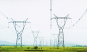 Giảm tổn thất điện năng trên lưới điện truyền tải: Giải bài toán kinh tế