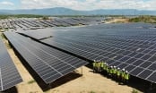 Xin dự án điện mặt trời rồi... bán cho Trung Quốc
