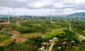 Quảng Trị xem xét bổ sung kế hoạch sử dụng đất cho nhà máy điện gió 1.554 tỷ đồng