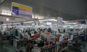 Doanh nghiệp sản xuất công nghiệp Đà Nẵng sẵn sàng ‘tăng tốc’ trở lại