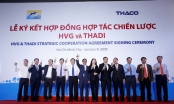 Thủy sản Hùng Vương bắt tay Thadi lập công ty sản xuất heo giống