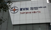 Sếp EVN nhận lương bình quân trên 48 triệu đồng/tháng