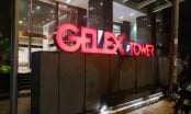 Gelex kỳ vọng hợp nhất Viglacera, đẩy mạnh phát triển khu công nghiệp