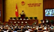 ILO hoan nghênh Việt Nam phê chuẩn Công ước về xóa bỏ lao động cưỡng bức