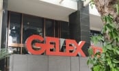 Gelex chào mua 95 triệu cổ phiếu VGC của Viglacera