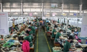 Chưa doanh nghiệp Đà Nẵng nào tiếp cận được gói hỗ trợ 16.000 tỷ đồng