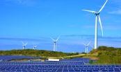Giải pháp thúc đẩy thị trường năng lượng tái tạo Việt Nam phát triển