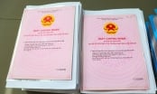 Trần Anh Group dự kiến bàn giao hơn 400 sổ hồng cho cư dân Trần Anh Riverside