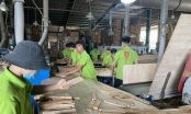Bị áp thuế 0% thành 25%, doanh nghiệp gỗ kêu cứu vì nguy cơ phá sản