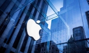 Apple đòi giảm 50% tiền thuê mặt bằng dù doanh thu cao kỉ lục