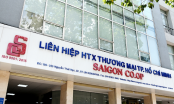 Sở Kế hoạch và Đầu tư TP.HCM không thừa nhận số vốn góp 3.597 tỷ đồng của Saigon Co.op