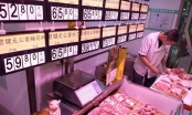 Trung Quốc sắp có hợp đồng giao dịch tương lai lợn sống