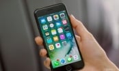 Hàng loạt iPhone chính hãng bị 'khai tử' ở Việt Nam