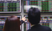 Thị trường chứng khoán tháng 9: Nhóm cổ phiếu dẫn dắt báo hiệu khả năng sẽ chững lại
