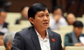 Quốc hội sẽ bãi nhiệm đại biểu Phạm Phú Quốc vào tháng 11
