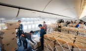 Các hãng hàng không đua nhau tháo ghế để chở hàng