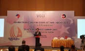 TS. Vũ Tiến Lộc: Mỹ đứng thứ 2 nhận đầu tư từ Việt Nam năm 2019