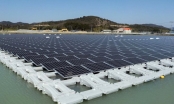 Chủ 2 dự án điện gió 9.000 tỷ ở Gia Lai qua Đắk Lắk xin làm điện mặt trời