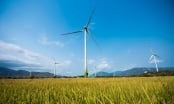 Hưng Hải Group bắt tay CEO Bitexco làm dự án điện gió 3.700 tỷ ở Gia Lai