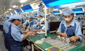 Quản lý lao động Việt Nam trong các tổ chức nước ngoài: Những bất cập trong dự thảo nghị định