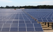 Bình Định tiếp tục xin chuyển hơn 126 ha rừng để làm điện mặt trời