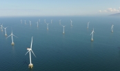 Triển khai khảo sát dự án điện gió ngoài khơi 10 tỷ USD La Gàn