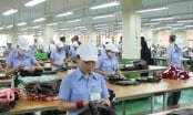Tây Ninh vốn FDI tăng, doanh nghiệp nhiều nhưng vẫn loay hay tìm hướng đột phá