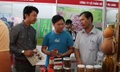 Hơn 100 doanh nghiệp tham gia kết nối hàng Việt - OCOP tại Đà Nẵng