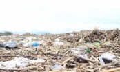 Hàng nghìn tấn rác dạt vào bờ biển Đà Nẵng sau bão số 13