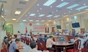Tỉnh Bình Thuận nói gì về 4 dự án giao đất cho doanh nghiệp không qua đấu giá?