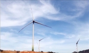 Thêm nhà máy điện gió 2 nghìn tỷ được Quảng Trị chấp thuận chủ trương đầu tư