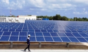 Đại gia Thái Lan chi gần 40 triệu USD để thâu tóm một dự án điện mặt trời tại Việt Nam