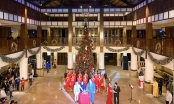 Furama Resort Đà Nẵng khởi động mùa Giáng sinh 2020