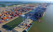 TP.HCM sẽ thu phí hạ tầng cảng biển trong năm 2021, cao nhất 4,4 triệu đồng/container