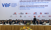 Phó Thủ tướng Phạm Bình Minh dự Diễn đàn Doanh nghiệp Việt Nam 2020