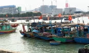 Tạo điều kiện cho 450 tàu đánh cá của bà con ngư dân tránh trú bão tại cảng Nhiệt điện Nghi Sơn