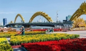 Đà Nẵng chi 10 tỷ đồng trang trí hoa và điện chiếu sáng phục vụ Tết 2021