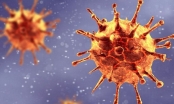 Biến thể mới của virus SARS-CoV-2 nguy hiểm như thế nào?