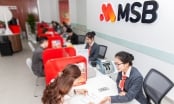 MSB: Chiến lược riêng biệt vượt qua khó khăn thị trường