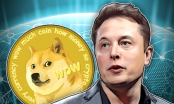 Chán Bitcoin, các nhà đầu tư đang theo Elon Musk mua Dogecoin