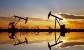 JPMorgan: Giá dầu sẽ tiếp tục tăng trong thời gian tới