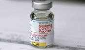 Moderna dự kiến đạt doanh thu vaccine COVID-19 khoảng 18,4 tỷ USD năm nay