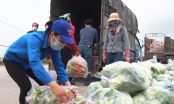 TP Chí Linh kết nối tiêu thụ 200 tấn rau củ quả cho bà con nông dân