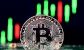 Bảy ngày biến động dữ dội của Bitcoin