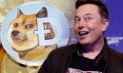 Elon Musk có thể bị điều tra vì thao túng tiền ảo